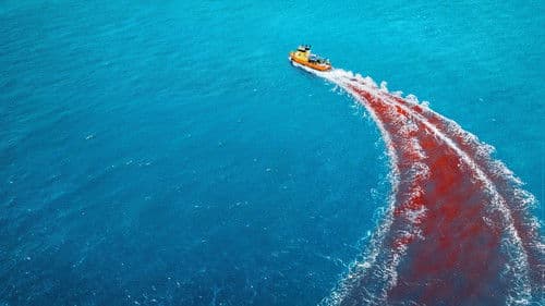 Dangerous Animals Bild 1