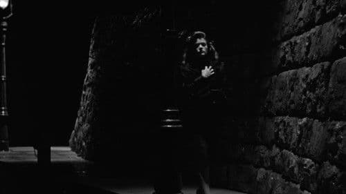 Katzenmenschen Bild 2