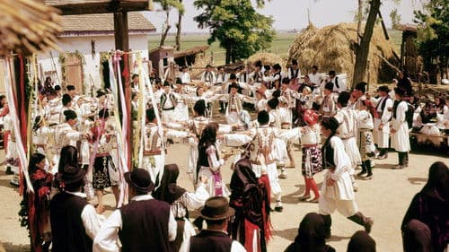 Die 25. Stunde Bild 3