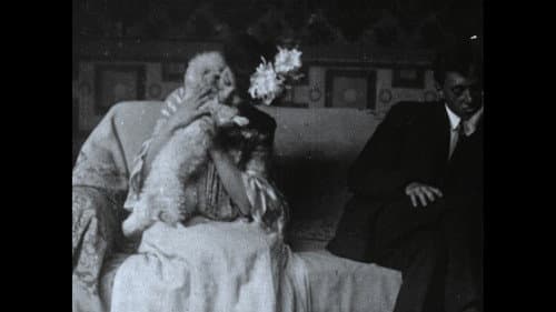 Wonder Dogs! Canine Stars of the Silent Era (1898-1928) Bild 6