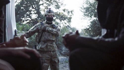 Deep in the Forest Bild 4