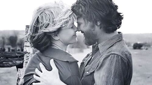 Alice lebt hier nicht mehr Bild 6