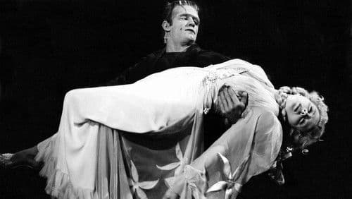 Frankenstein trifft den Wolfsmenschen Bild 6