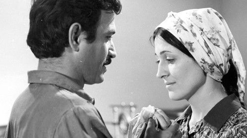 Sevinc Buxtası Bild 1