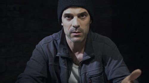 Zigeuner-Boxer Bild 2