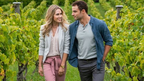 Destination Love Bild 4