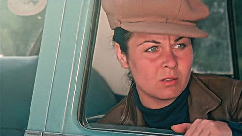 Şoför Nebahat Bild 2