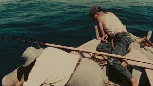 Contadini del mare Bild 3