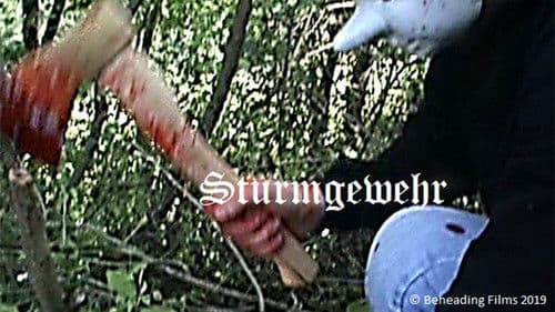 Sturmgewehr Bild 1