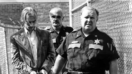 Tennessee Nights Bild 4