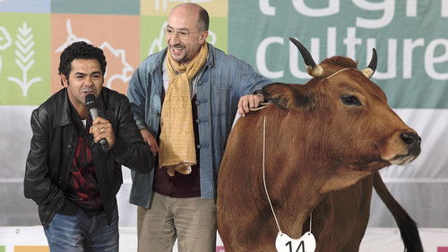 Unterwegs mit Jacqueline Bild 4