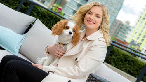 Marrying Mr. Darcy Bild 7