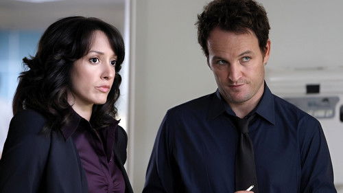 The Chicago Code Bild 3