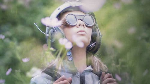 Erdmännchen und Mondrakete Bild 1