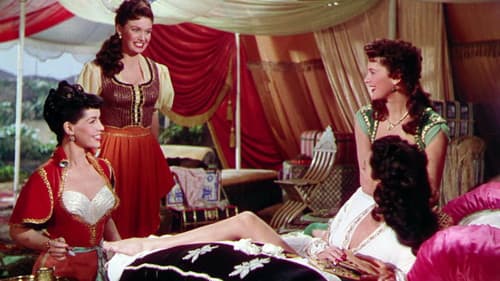 Der Wüstenfalke Bild 4