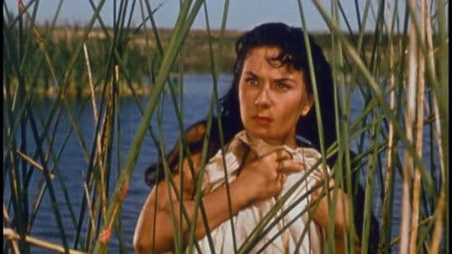 El último perro Bild 2