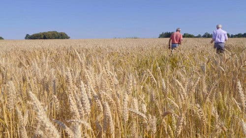 Jean Jouzel dans la bataille du siècle Bild 1