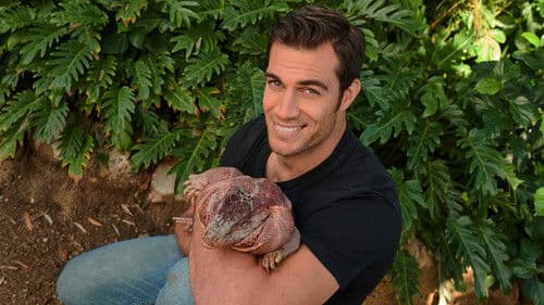 Dr. Evan: Ein Herz für wilde Tiere Bild 4