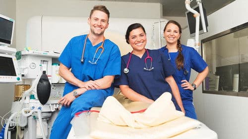 Tierärztin 24/​7 Bild 3