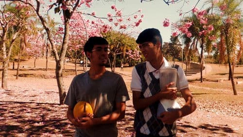 O Lado do Outro Bild 1