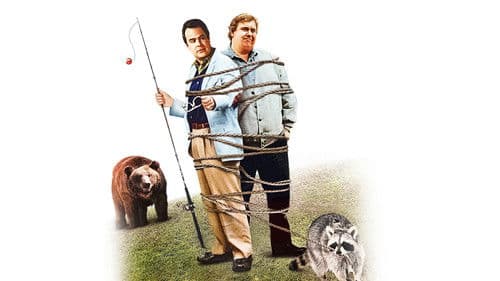 Ferien zu Dritt Bild 6