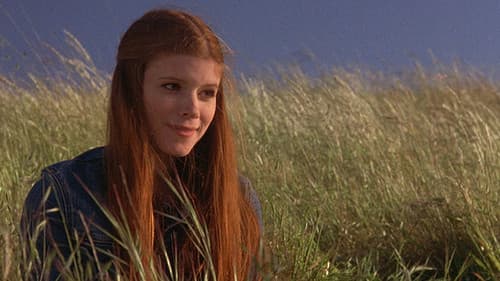 The Californians Bild 1