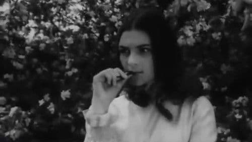 Casa părintească Bild 1