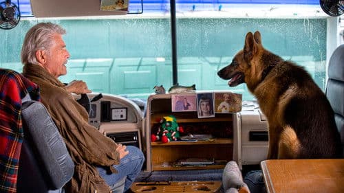 Weihnachten Zuhause Bild 7