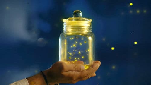 মন দুয়ারী Bild 4