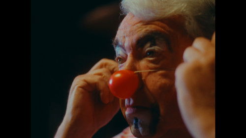 O palhaço que há em nós Bild 2