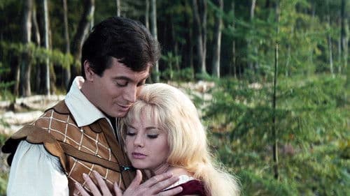 Der Triumph des Musketiers Bild 3