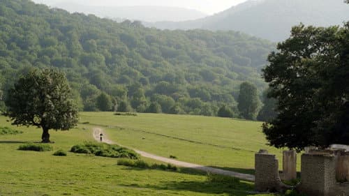 سمفونی حمید Bild 1