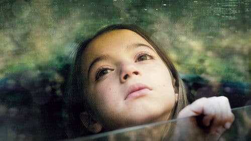 20.000 Arten von Bienen Bild 7