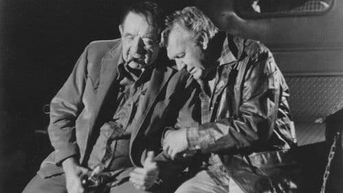 The Wild McCullochs Bild 1