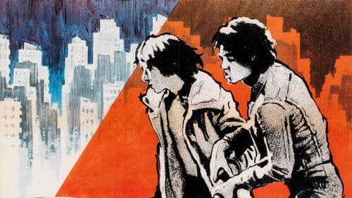 Perros callejeros Bild 2