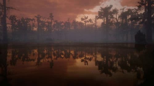 Cat Stevens: Mona Bone Jakon Bild 1