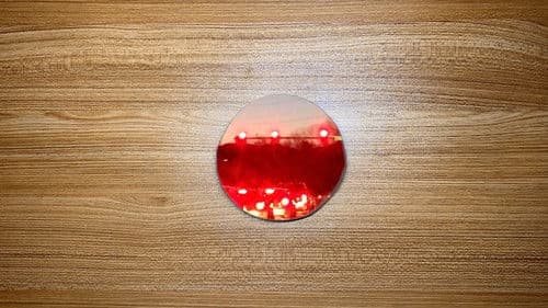 The World in Our Hands Bild 5