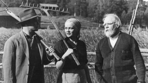 Vieras mies tuli taloon Bild 1