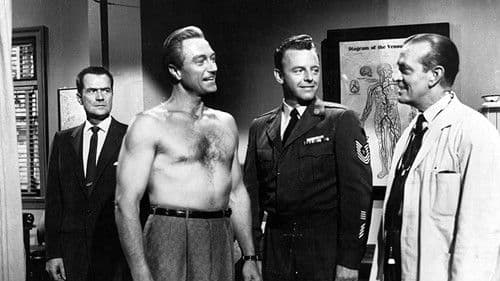 The Crooked Web Bild 3