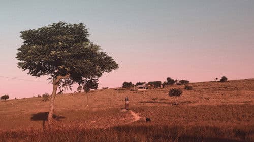 Marlina - Die Mörderin in 4 Akten Bild 4