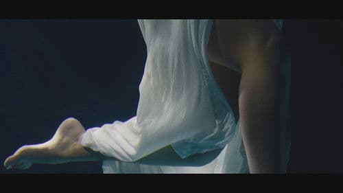 OMARI; geen gezeik Bild 6