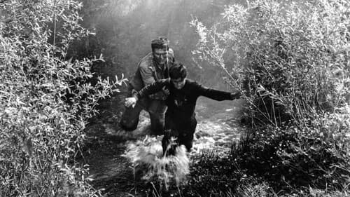 Ne okreći se sine Bild 1