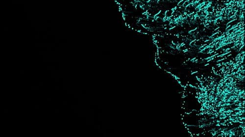 Shapeless Tracking Bild 3