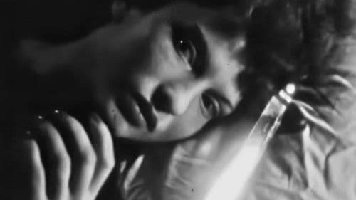 Meshes of the Afternoon Bild 7