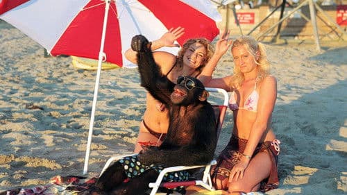 Funky Monkey - Ein Affe in geheimer Mission Bild 6