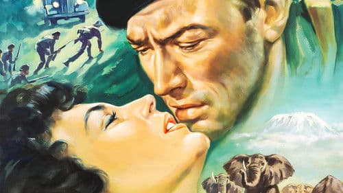 Schnee am Kilimandscharo Bild 1