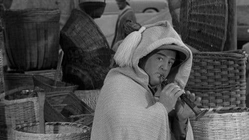 Abbott & Costello als Mumienräuber Bild 7