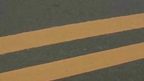 Halsted Street, USA Bild 1