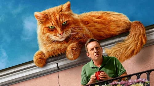 Котострофа Bild 3