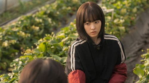 미지의 서울 Bild 3